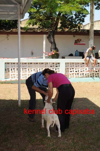 Clique sobre a foto para fechar